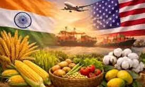 ट्रेड डील के बाद US को एग्रीकल्चर एक्सपोर्ट में बढ़त की उम्मीद: APEDA चेयरमैन