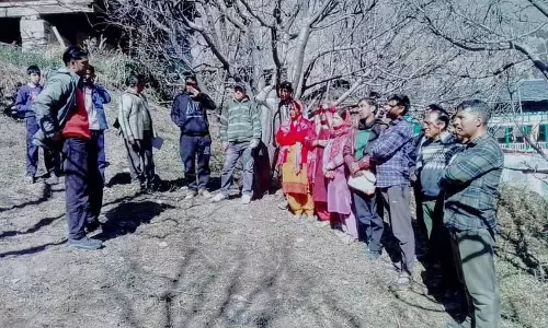 Bharmour के सेब उत्पादकों को वैज्ञानिक रोग प्रबंधन का प्रशिक्षण दिया गया