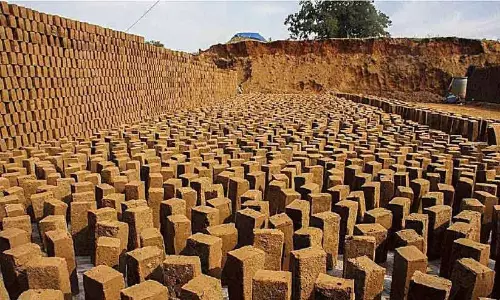 Thenmalai इलाके में गैर-कानूनी मिट्टी की माइनिंग और ईंट भट्टे बड़े पैमाने पर फैले हुए Thenmalai इलाके में गैर-कानूनी मिट्टी की माइनिंग और ईंट भट्टे बड़े पैमाने पर फैले हुए