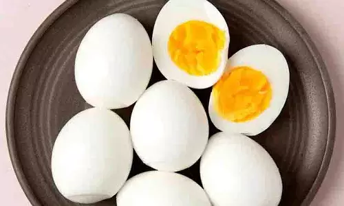 क्या हम अंडे की जर्दी ले सकते हैं? Health Experts इसके बारे में क्या कहते हैं? क्या हम अंडे की जर्दी ले सकते हैं? Health Experts इसके बारे में क्या कहते हैं?