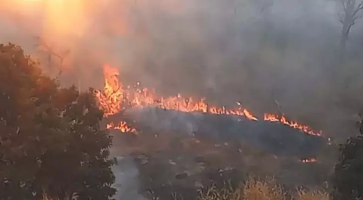 धमतरी में पहाड़ी इलाके में लगी आग, वन विभाग की टीम पहुंची धमतरी में पहाड़ी इलाके में लगी आग, वन विभाग की टीम पहुंची