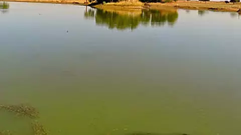 तालाब में डूबा ग्राम पटेल, मौत तालाब में डूबा ग्राम पटेल, मौत
