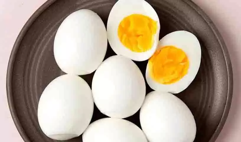 क्या हम अंडे की जर्दी ले सकते हैं? Health Experts इसके बारे में क्या कहते हैं? क्या हम अंडे की जर्दी ले सकते हैं? Health Experts इसके बारे में क्या कहते हैं?