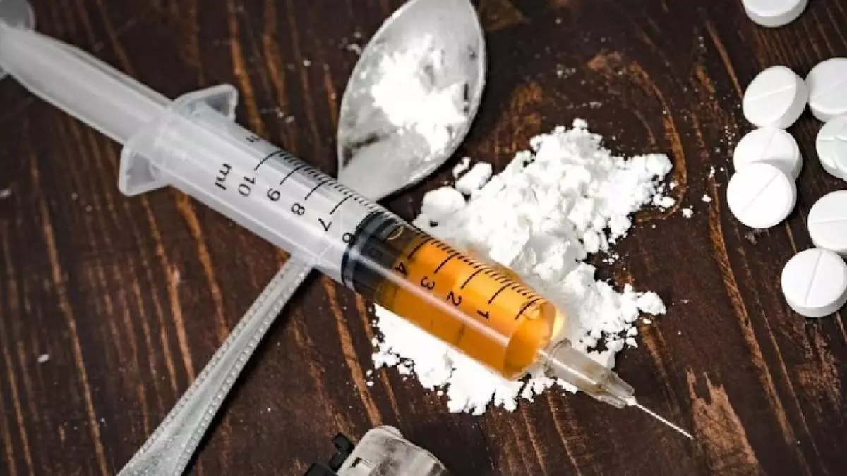 पुलिस ने सीमा पार ड्रग तस्करी नेटवर्क का भंडाफोड़ किया, दो तस्कर गिरफ्तार पुलिस ने सीमा पार ड्रग तस्करी नेटवर्क का भंडाफोड़ किया, दो तस्कर गिरफ्तार