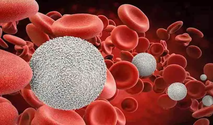 Blood Cancer के लक्षण जिनके बारे में हमें ज़रूर पता होना चाहिए Blood Cancer के लक्षण जिनके बारे में हमें ज़रूर पता होना चाहिए