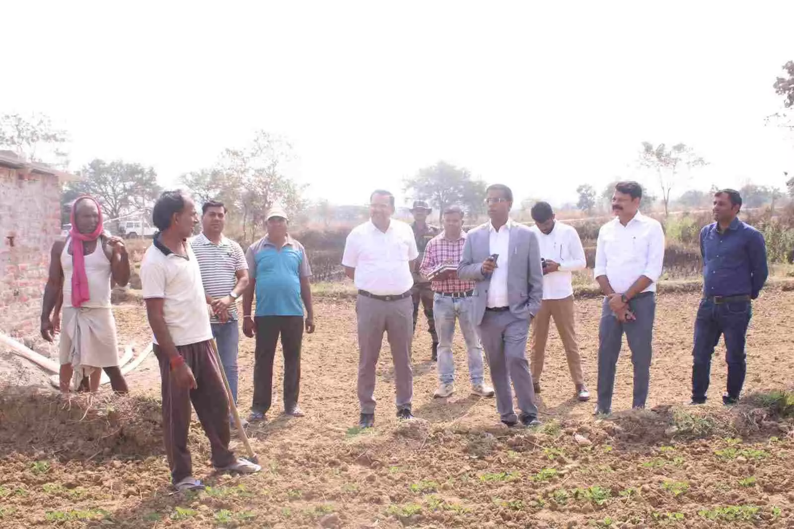 कलेक्टर डॉ संजय कन्नौजे ने किसानों के रबी फसल का किया अवलोकन कलेक्टर डॉ संजय कन्नौजे ने किसानों के रबी फसल का किया अवलोकन