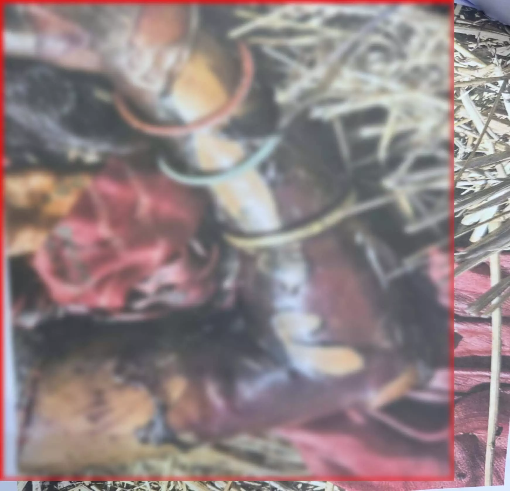 परसादा खार में 10–15 दिन पुराना अज्ञात महिला का शव बरामद, हाथ में विनोद शर्मा टैटू परसादा खार में 10–15 दिन पुराना अज्ञात महिला का शव बरामद, हाथ में विनोद शर्मा टैटू