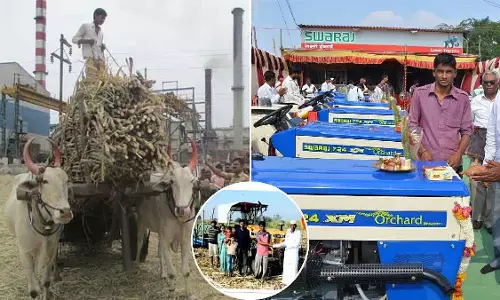 Maharashtra में 18,000 से ज़्यादा मशीनों ने 1 लाख बैलों को कमरतोड़ गन्ना मज़दूरी से बचाया Maharashtra में 18,000 से ज़्यादा मशीनों ने 1 लाख बैलों को कमरतोड़ गन्ना मज़दूरी से बचाया