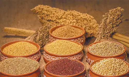 Mandala: स्थानीय स्वाद के साथ मिलेट फेस्टिवल की शुरुआत Mandala: स्थानीय स्वाद के साथ मिलेट फेस्टिवल की शुरुआत