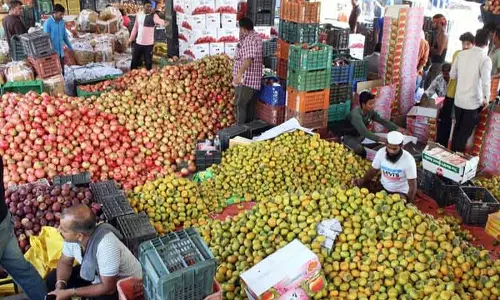 SBI रिपोर्ट: CPI के नए तरीके से बढ़ोतरी, UP और महाराष्ट्र में 43% मार्केट हिस्सा
