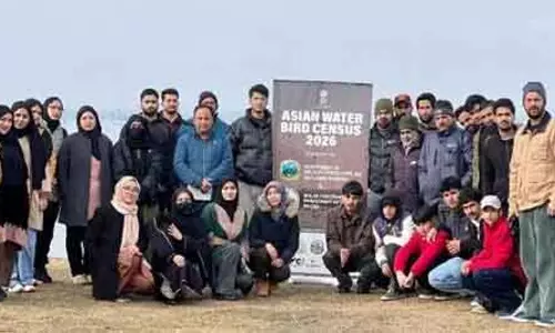 कश्मीर के 27 वेटलैंड्स में एशियाई जलीय पक्षी जनगणना-2026 आयोजित की गई