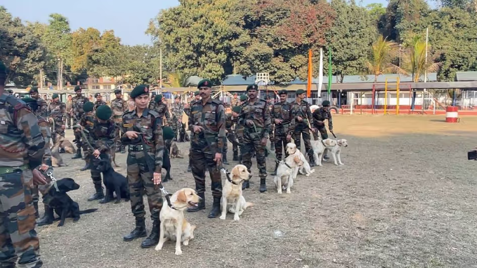 स्वदेशी कुत्तों की नस्लें Assam राइफल्स की आत्मनिर्भर पहल को मजबूत करती