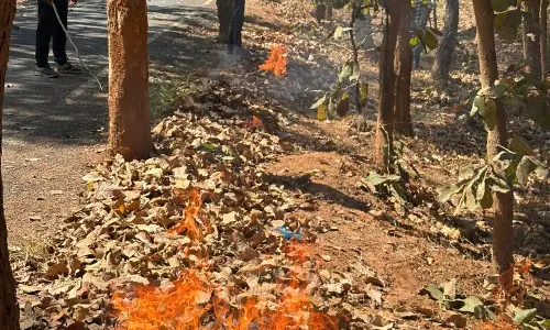 कोंडागांव और फरसगांव में एक दिवसीय अग्नि सुरक्षा कार्यशाला आयोजित कोंडागांव और फरसगांव में एक दिवसीय अग्नि सुरक्षा कार्यशाला आयोजित