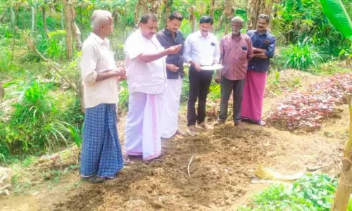 Kerala : एलिकुलम में तरबूज की खेती शुरू हुई Kerala : एलिकुलम में तरबूज की खेती शुरू हुई