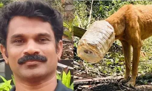 Aamir Shaji ने एक आवारा कुत्ते को बचाया जिसके सिर में प्लास्टिक की बोतल फंसी हुई थी Aamir Shaji ने एक आवारा कुत्ते को बचाया जिसके सिर में प्लास्टिक की बोतल फंसी हुई थी