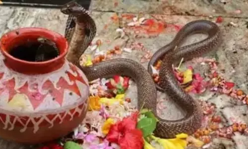 Berhampur: डंडा यात्रा के दौरान सांपों पर बैन; RCCF ने सख्त निर्देश जारी किए