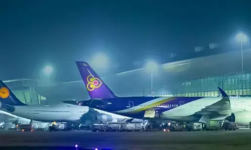 Chennai एयरपोर्ट पर तस्करी कर लाए गए अजगर और कछुए बरामद