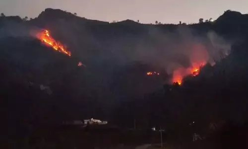 राजौरी के नौशेरा सेक्टर में LoC के पास जंगल में आग, सुरक्षा एजेंसियां सतर्क