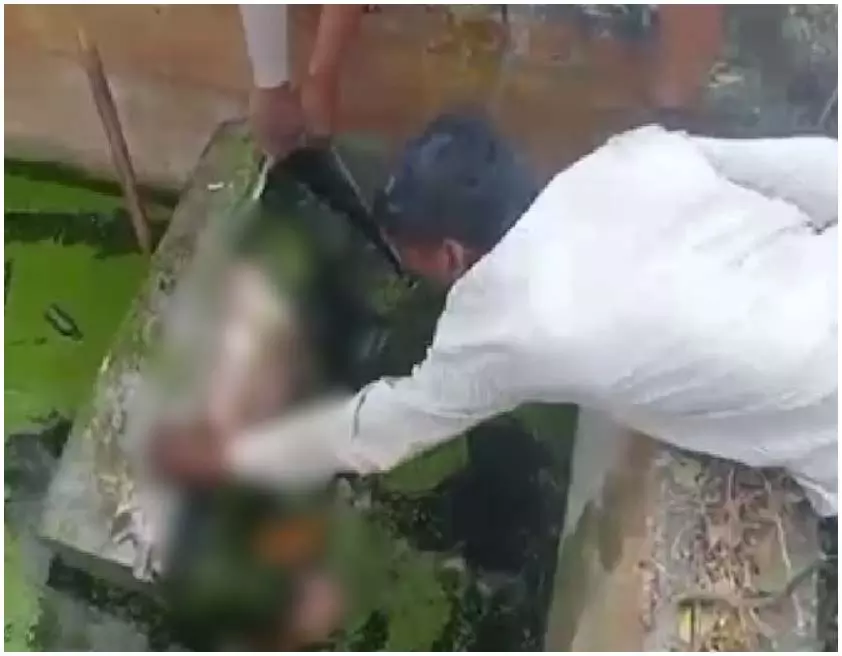 OMG! सेप्टिक टैंक में संदूक के अंदर मिली महिला की लाश, नजारा देख लोगों की फटी रह गई आंखें OMG! सेप्टिक टैंक में संदूक के अंदर मिली महिला की लाश, नजारा देख लोगों की फटी रह गई आंखें
