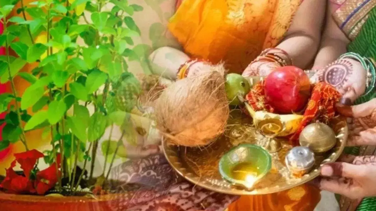 Vijaya Ekadashi 2026: विजया एकादशी पर करें तुलसी से जुड़े ये उपाय, दोष-दरिद्रता होगी दूर Vijaya Ekadashi 2026: विजया एकादशी पर करें तुलसी से जुड़े ये उपाय, दोष-दरिद्रता होगी दूर