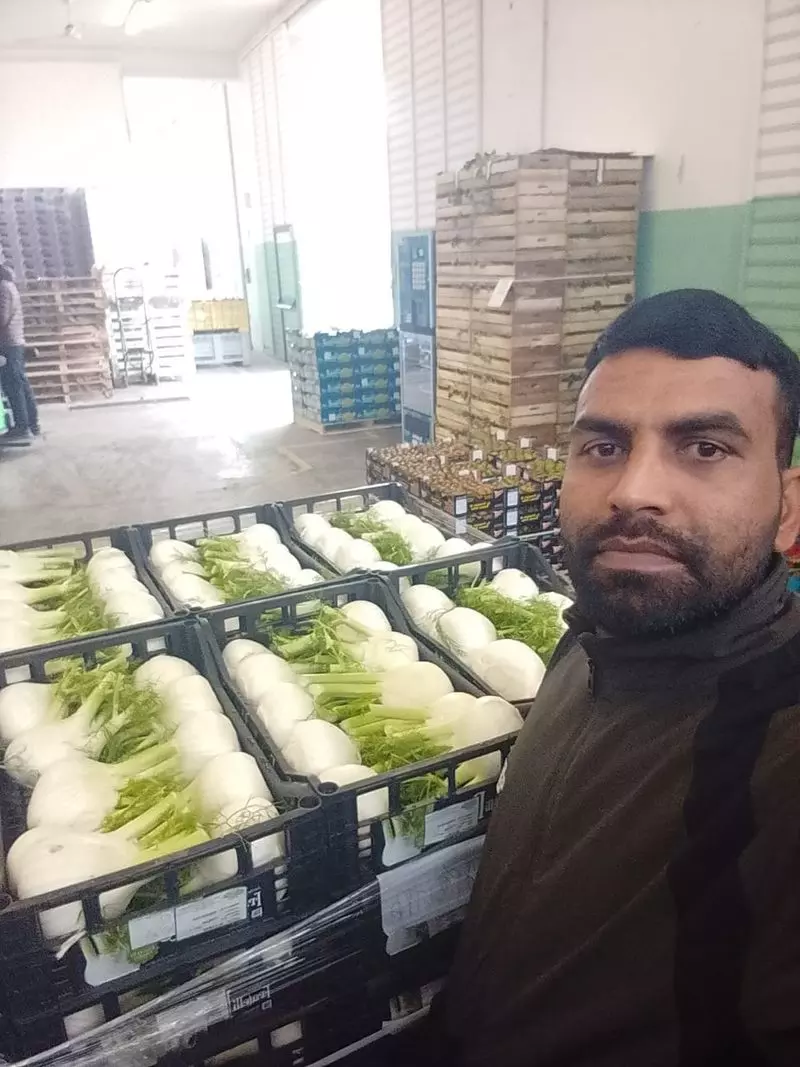 Haryana : ड्रग्स के रास्ते से इटली में नई ज़िंदगी तक, फतेहाबाद के एक युवा की कहानी Haryana : ड्रग्स के रास्ते से इटली में नई ज़िंदगी तक, फतेहाबाद के एक युवा की कहानी
