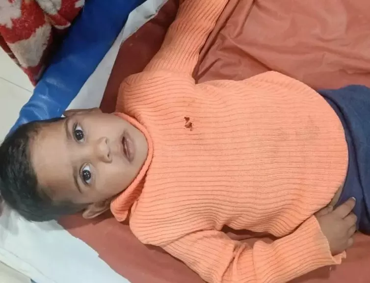 Farrukhabad: मासूम की तबीयत बिगड़ी, परिवार में मचा हड़कंप Farrukhabad: मासूम की तबीयत बिगड़ी, परिवार में मचा हड़कंप