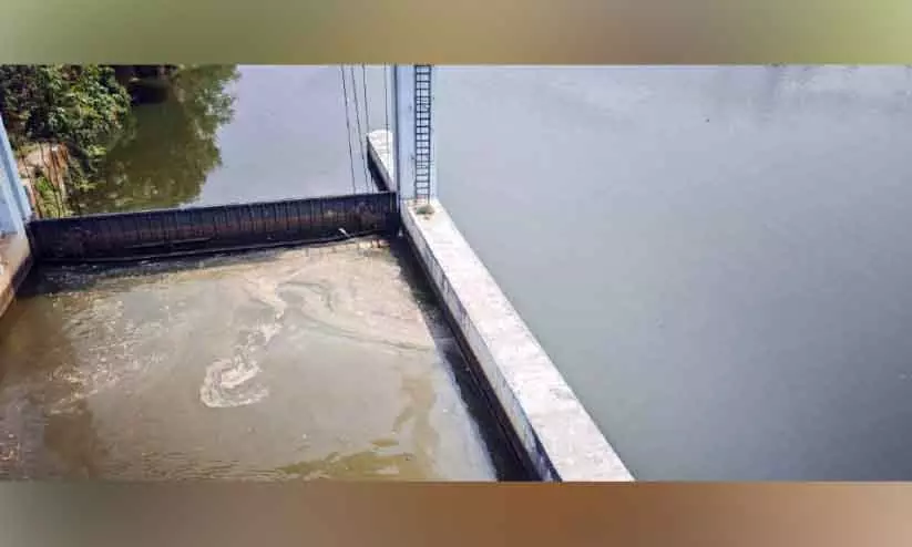 Kerala : सार्वजनिक जंगल से होकर पेरियार में कचरा बहता है Kerala : सार्वजनिक जंगल से होकर पेरियार में कचरा बहता है