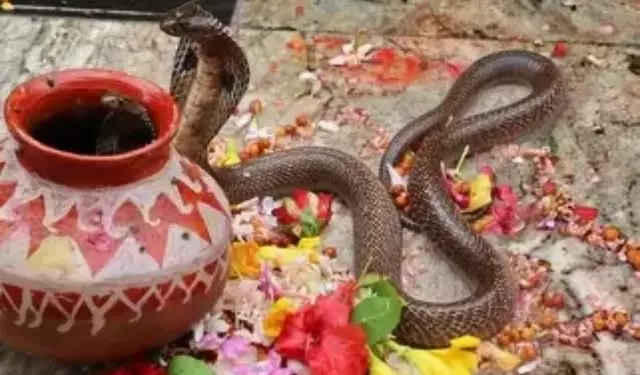 Berhampur: डंडा यात्रा के दौरान सांपों पर बैन; RCCF ने सख्त निर्देश जारी किए Berhampur: डंडा यात्रा के दौरान सांपों पर बैन; RCCF ने सख्त निर्देश जारी किए