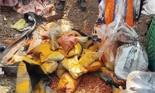 MP News: राजस्व विभाग ने हल्दी और मिर्च मसाले के पैकेट जब्त किए, मचा हंगामा MP News: राजस्व विभाग ने हल्दी और मिर्च मसाले के पैकेट जब्त किए, मचा हंगामा