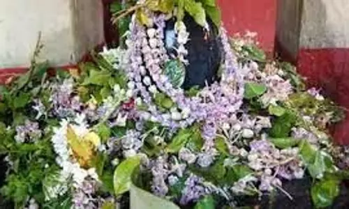Maha Shivratri Marriage Remedies: महाशिवरात्रि पर करें ये 7 अचूक उपाय, वैवाहिक जीवन होगा मजबूत और सिंगल लोगों को मिलेगा मनचाहा जीवनसाथी