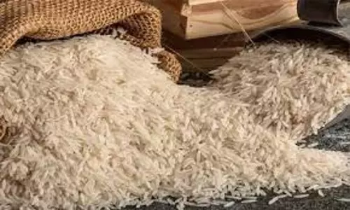 चावल उत्सव 20 फरवरी से, खाद्य विभाग ने दी जानकारी चावल उत्सव 20 फरवरी से, खाद्य विभाग ने दी जानकारी