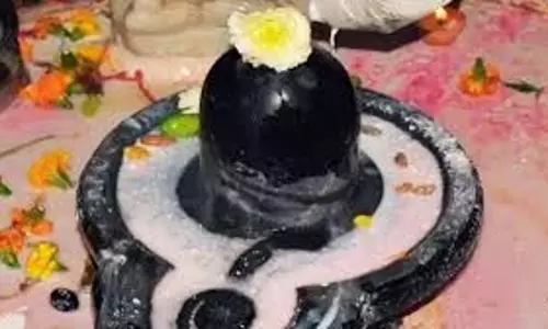 Dharma:शिवलिंग पर अर्पित बेलपत्र के सेवन के स्वास्थ्य लाभ, महाशिवरात्रि पर क्यों अपनाई जाती है यह परंपरा Dharma:शिवलिंग पर अर्पित बेलपत्र के सेवन के स्वास्थ्य लाभ, महाशिवरात्रि पर क्यों अपनाई जाती है यह परंपरा