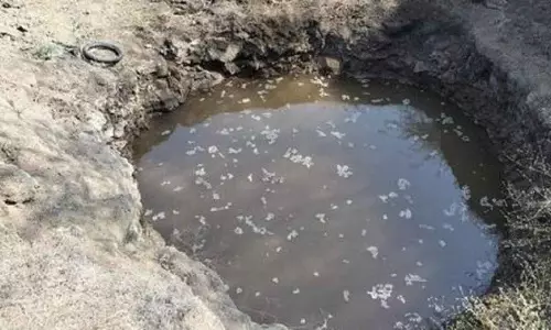 5 साल में गड्ढों में गिरने से 9,438 लोगों की मौत हुई: Tamil Nadu में 612 5 साल में गड्ढों में गिरने से 9,438 लोगों की मौत हुई: Tamil Nadu में 612