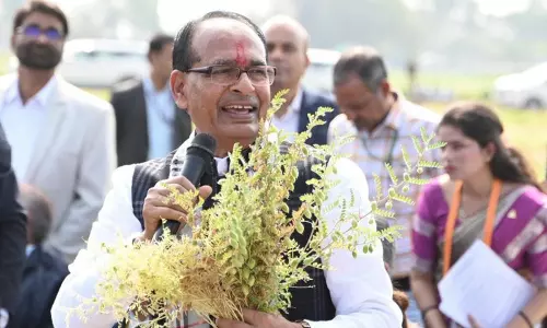 हरियाणा में पराली जलाने से दिल्ली-NCR में स्मॉग में सिर्फ 5% की हिस्सेदारी शिवराज चौहान हरियाणा में पराली जलाने से दिल्ली-NCR में स्मॉग में सिर्फ 5% की हिस्सेदारी शिवराज चौहान