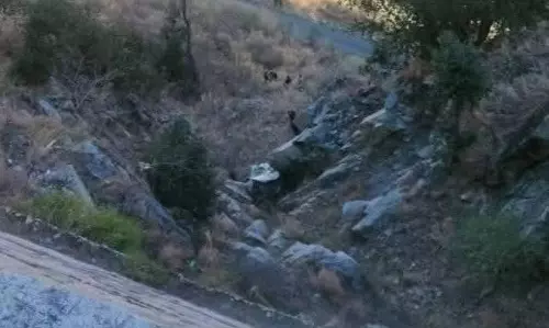 Kinnaur: भीषण सड़क हादसे में चार की मौत Kinnaur: भीषण सड़क हादसे में चार की मौत