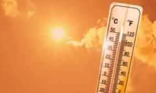 IMD ने तमिलनाडु और पुडुचेरी में तापमान बढ़ने का अनुमान लगाया IMD ने तमिलनाडु और पुडुचेरी में तापमान बढ़ने का अनुमान लगाया