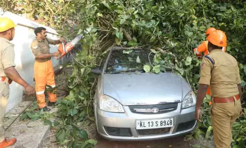 Kerala : पेड़ की टहनी सड़क पर गिरी, गाड़ियां क्षतिग्रस्त Kerala : पेड़ की टहनी सड़क पर गिरी, गाड़ियां क्षतिग्रस्त