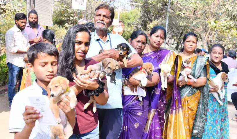 GHMC ने KBR पार्क में इंडी पपी अडॉप्शन ड्राइव का आयोजन किया GHMC ने KBR पार्क में इंडी पपी अडॉप्शन ड्राइव का आयोजन किया
