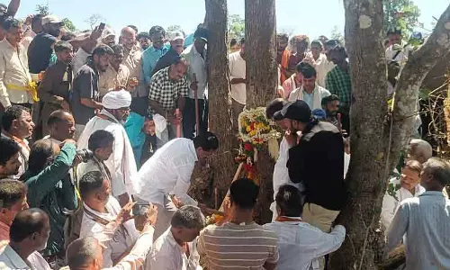 Sirsi : तारो के पेड़ को काटने की सेवा पूरी हो गई है Sirsi : तारो के पेड़ को काटने की सेवा पूरी हो गई है