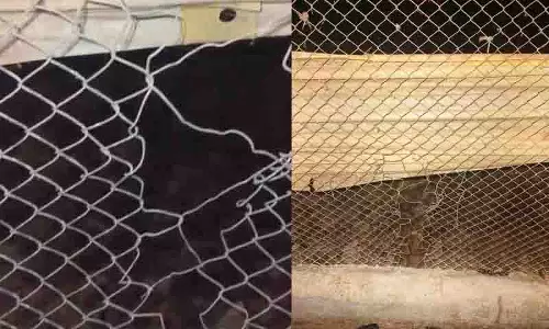 Narsapur इलाके में एक पोल्ट्री फार्म से हमलावरों ने मुर्गियां चुरा लीं Narsapur इलाके में एक पोल्ट्री फार्म से हमलावरों ने मुर्गियां चुरा लीं