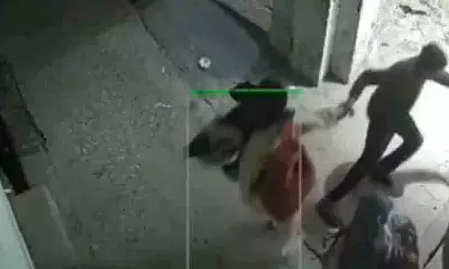 Hapur में परेशान करने वाली घटना: लड़के ने लड़की को घसीटा, CCTV में कैद हुई हरकत Hapur में परेशान करने वाली घटना: लड़के ने लड़की को घसीटा, CCTV में कैद हुई हरकत