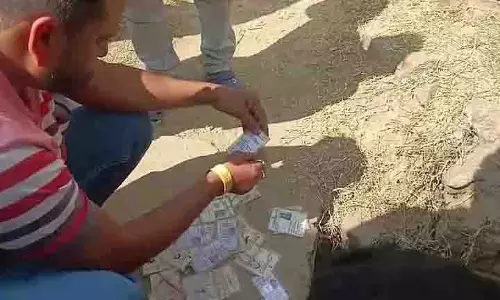 Voter card नालियों में बिखरे मिले, लोग हैरान Voter card नालियों में बिखरे मिले, लोग हैरान