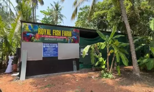 केरल के Kannur में रॉयल फिश फार्म से पालतू मछलियाँ चोरी केरल के Kannur में रॉयल फिश फार्म से पालतू मछलियाँ चोरी