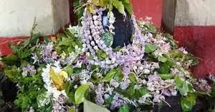 Maha Shivratri Marriage Remedies: महाशिवरात्रि पर करें ये 7 अचूक उपाय, वैवाहिक जीवन होगा मजबूत और सिंगल लोगों को मिलेगा मनचाहा जीवनसाथी Maha Shivratri Marriage Remedies: महाशिवरात्रि पर करें ये 7 अचूक उपाय, वैवाहिक जीवन होगा मजबूत और सिंगल लोगों को मिलेगा मनचाहा जीवनसाथी