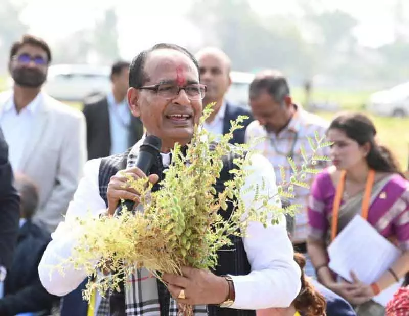शिवराज चौहान: Punjab-Haryana की पराली जलाने से दिल्ली-NCR के स्मॉग में 5% हिस्सेदारी शिवराज चौहान: Punjab-Haryana की पराली जलाने से दिल्ली-NCR के स्मॉग में 5% हिस्सेदारी