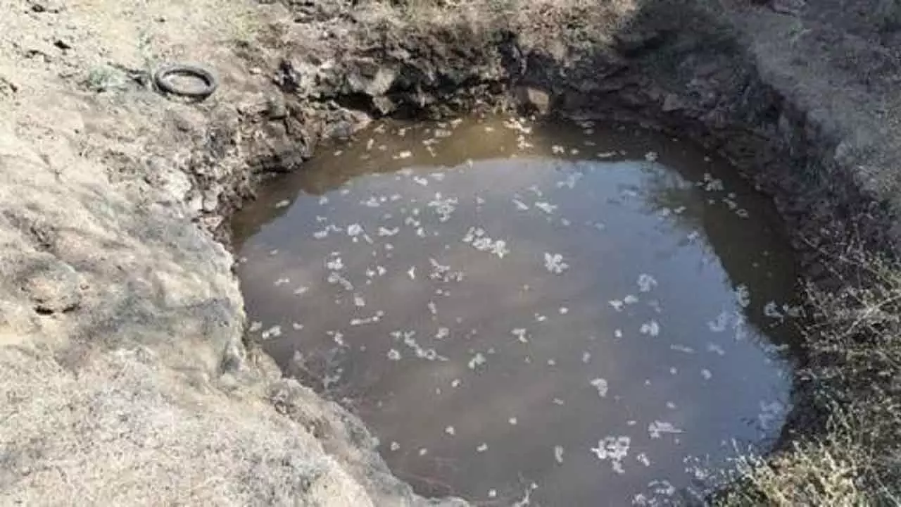 5 साल में गड्ढों में गिरने से 9,438 लोगों की मौत हुई: Tamil Nadu में 612 5 साल में गड्ढों में गिरने से 9,438 लोगों की मौत हुई: Tamil Nadu में 612