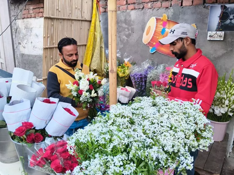 वैलेंटाइन डे Panipat में फूलों के दाम बढ़े वैलेंटाइन डे Panipat में फूलों के दाम बढ़े