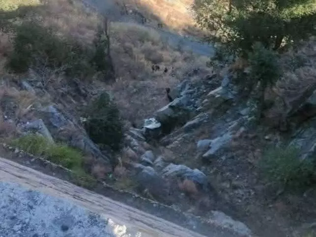 Kinnaur: भीषण सड़क हादसे में चार की मौत Kinnaur: भीषण सड़क हादसे में चार की मौत