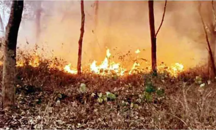 Kottukunnam पहाड़ी पर आग लग गई; 20 एकड़ में लगी झाड़ियां जल गई Kottukunnam पहाड़ी पर आग लग गई; 20 एकड़ में लगी झाड़ियां जल गई