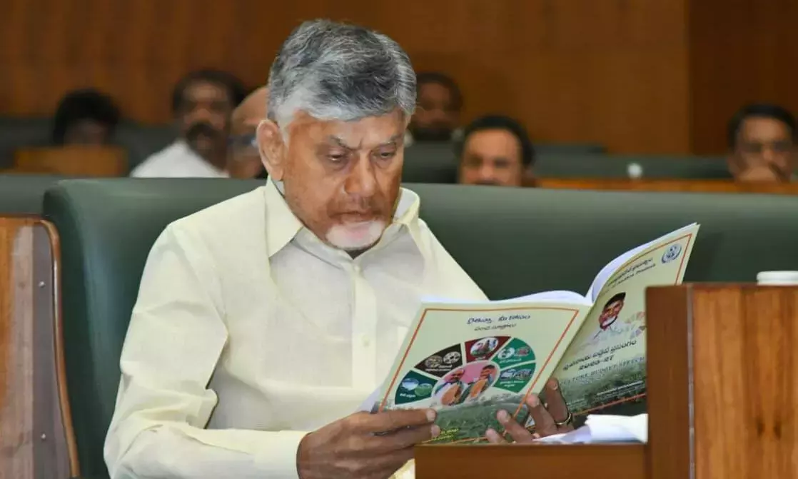Andhra: आंध्र प्रदेश बजट में मजबूत रेवेन्यू ग्रोथ, ज़्यादा वेलफेयर खर्च का अनुमान